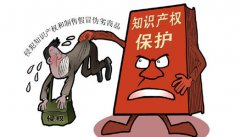 知識產(chǎn)權(quán)保護對于一個國家的意義到底在哪里？